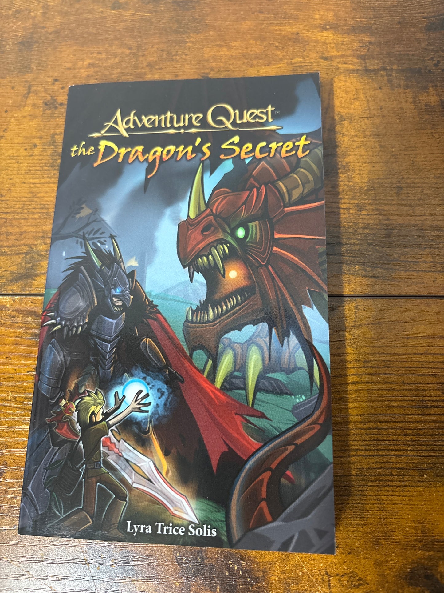 Adventure quest the dragons secret book
